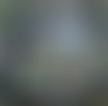 Still life (preview)