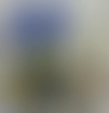 Still life (preview)