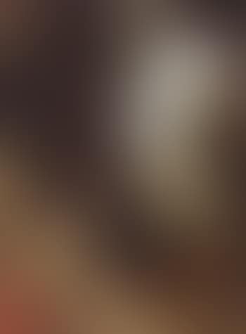 Saint Jerome in a landscape (preview)