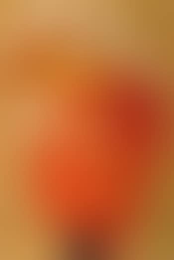Woman with red muff and wearing orange dress (preview)