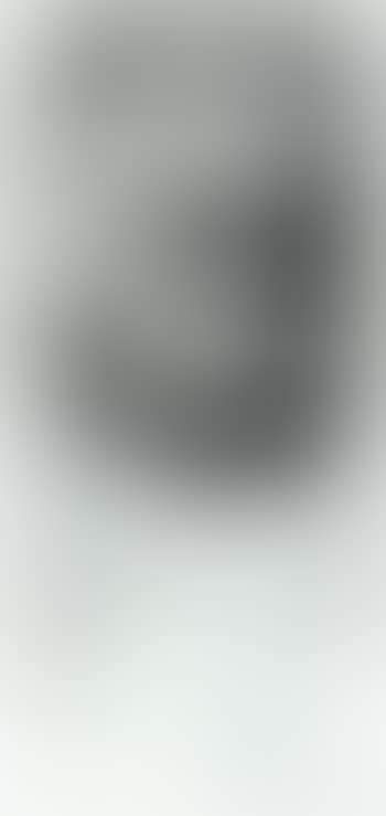 Self portrait (preview)