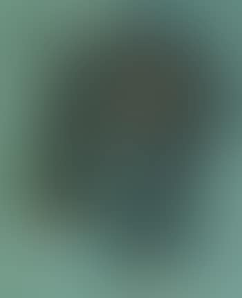 Thicket (preview)