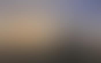 Sunset over field landscape with trees by river (preview)