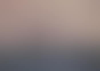 Danish fleet celebrating the Queen's birthday (preview)