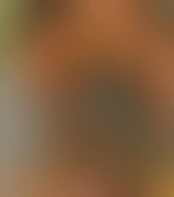 Autorretrato con Espejos (preview)
