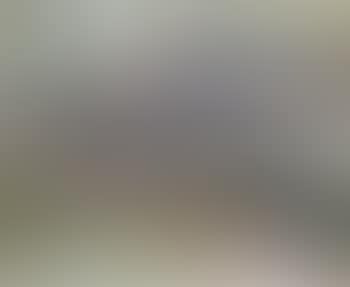 Paysage (preview)