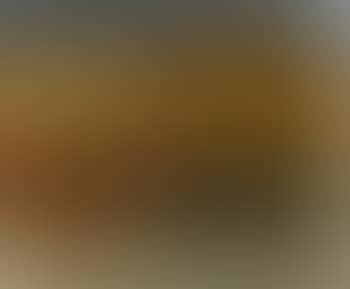 Spain (preview)