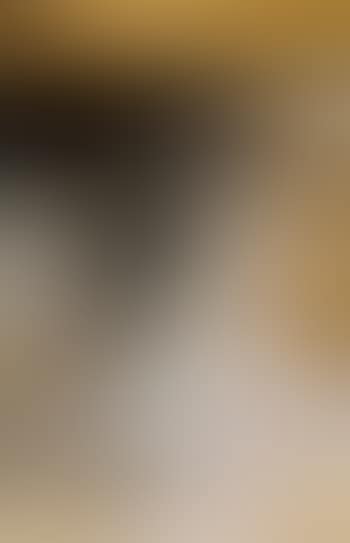 Portrait of a lady (preview)
