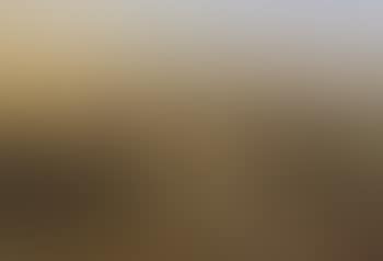 Huntsmen and artist in extensive landscape (preview)