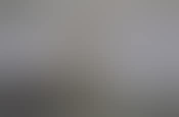 Norwegian ship at anchor (preview)