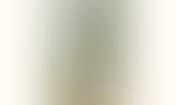 Composition blanche et verte (preview)