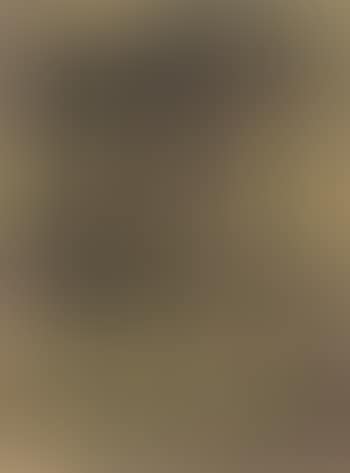 Composition (preview)