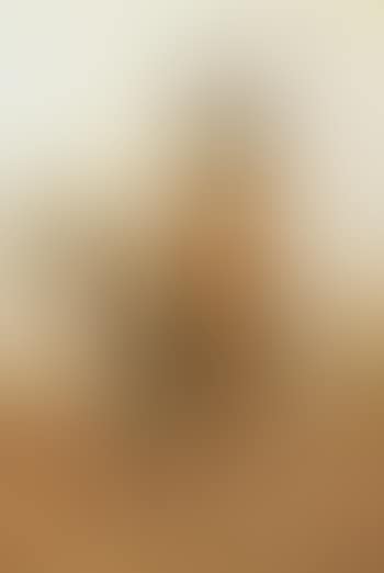 Portrait of Miss Angerstein, riding side saddle on a pony (preview)
