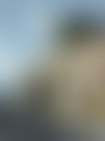 Capri (preview)