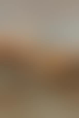 Landscape near Assuan (preview)
