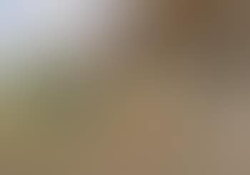 Figures and chickens in a farmyard. Young girl in a courtyard (preview)