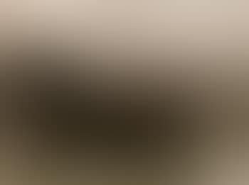 Stoumont (preview)