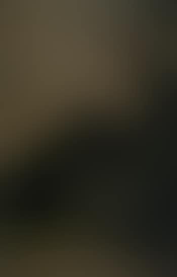 Landscape (preview)