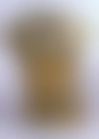 Torso italico (preview)