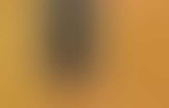 Nude bending, reflections in a golden eye (preview)