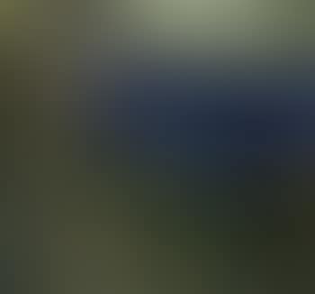 Jungle picture (preview)
