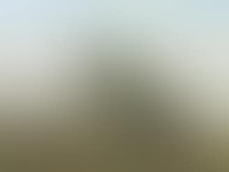 Autumn landscape with woman and sheep (preview)