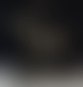 Taureau Romain (preview)