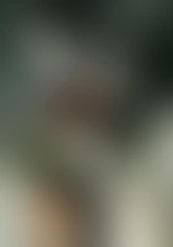 Nature morte avec vase de fleurs (preview)