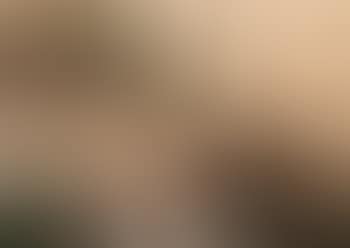 Nu couche de dos (preview)