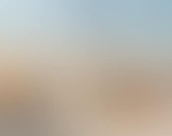 Le port de Cannes (preview)