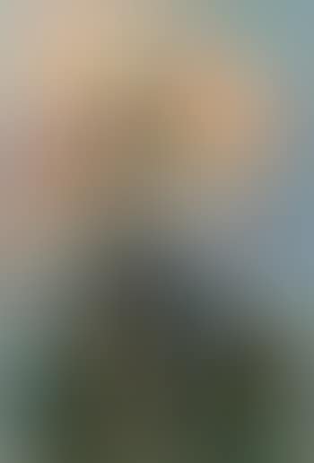 Nature morte avec fleurs (preview)