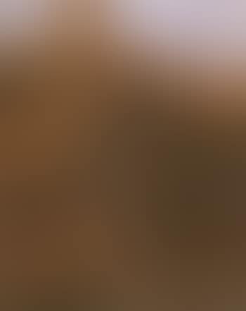 Italianate landscape with a herdsman and cattle by ruins (preview)