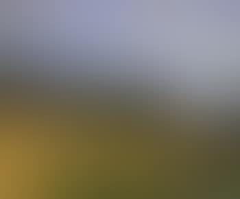 Paysage (preview)