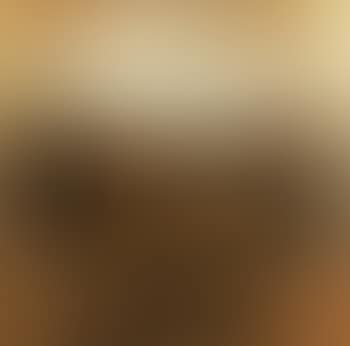 Mountain sheep (preview)