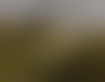Young girl with a flock of turkeys (preview)