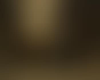 In the wine cellar (preview)