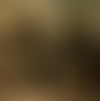 In the cotton fields (preview)