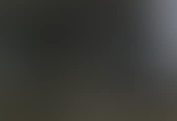 View through a wooded landscape (preview)