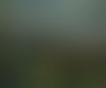 Landscape with small village (preview)