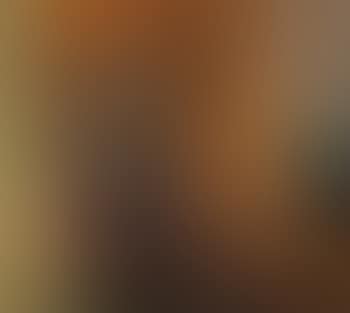 Interieur (preview)