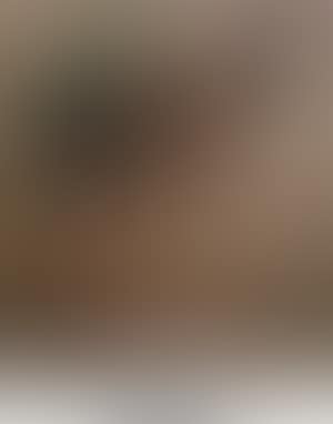 Study of a camel (preview)