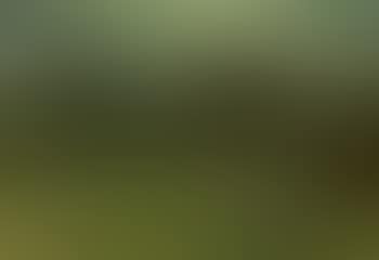 Hamlet in mountain landscape (preview)