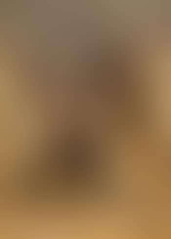 Violin player (preview)