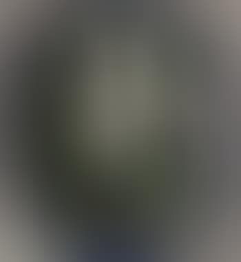 Cavallo e cavaliere (preview)