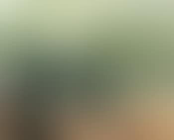 Harvest of Olives (preview)