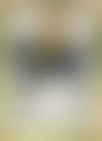 Cavallo e cavaliere (preview)