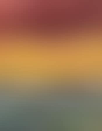 Pace (preview)