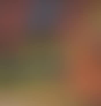 Lauf in die Sonne (preview)