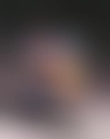 Testa del pittore (preview)