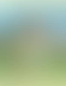 Girl in summer landscape (preview)